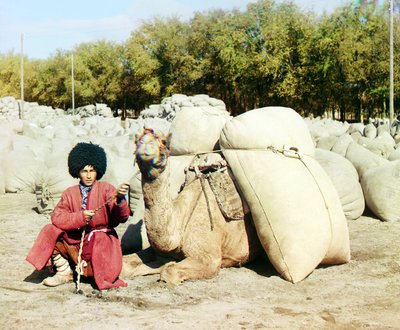 Turkmen Man Posing with Camel Loaded with Sacks of Cotton, Central Asia, Russian Empire, Between 1905 and 1915 by Sergey Prokudin Gorsky